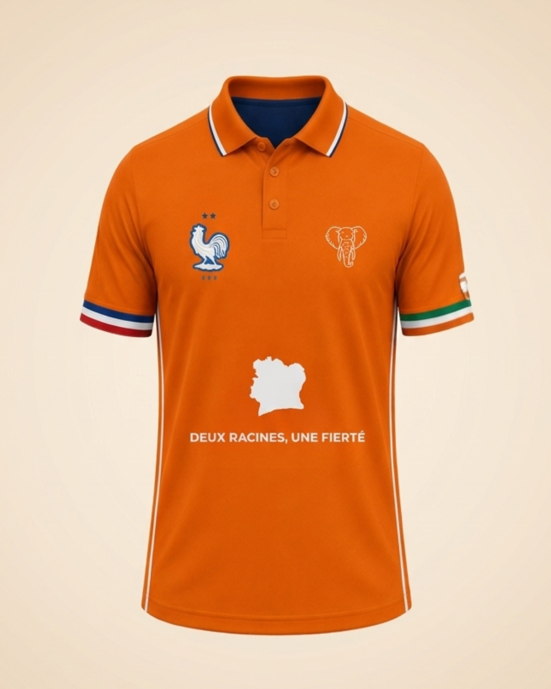 France - Ivory Coast